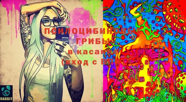твердый Усмань