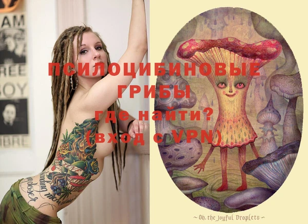 mdma Ельня