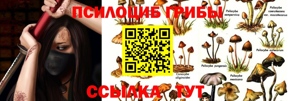 Галлюциногенные грибы Cubensis  Галлюциногенные грибы Psilocybine cubensis  как найти закладки  Снежинск  Вход с VPN 
